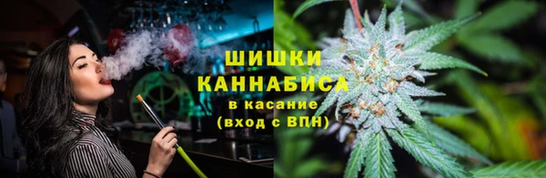 трава Гусев