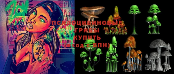 тгк Гусь-Хрустальный