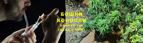 тгк Гусь-Хрустальный