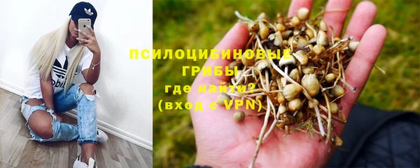 трава Гусев