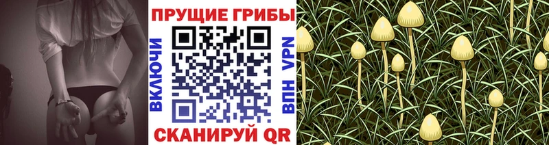 Галлюциногенные грибы Cubensis  Коркино 